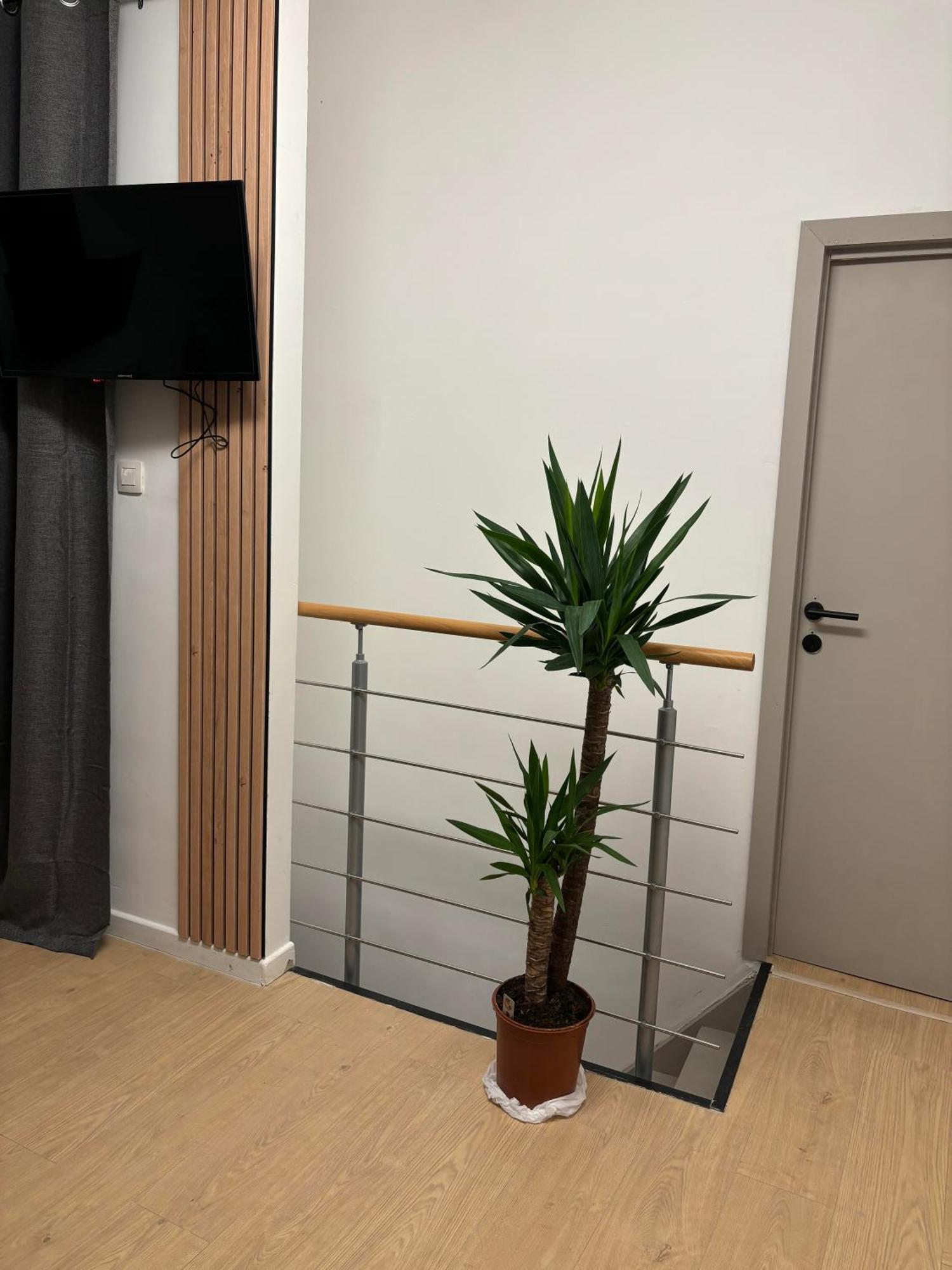 Ubuntu House - Charleroi Appartement Buitenkant foto